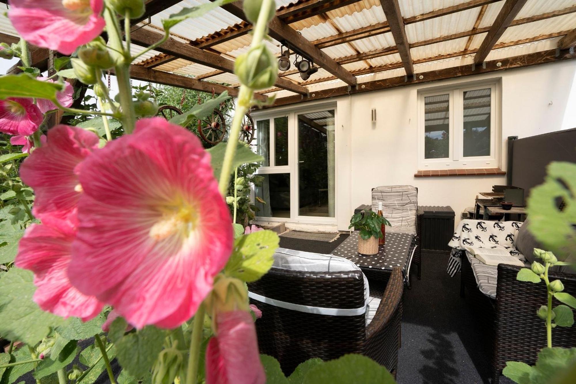 Haus Waldfrieden Ferienhaeuschen Waldfrieden Daire Haffkrug Dış mekan fotoğraf