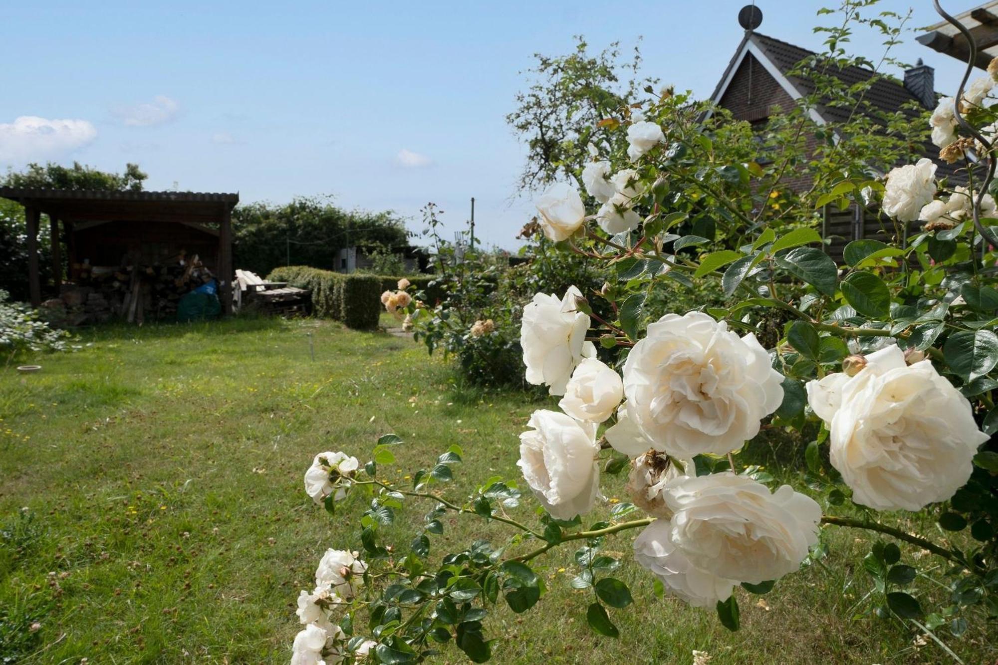 Haus Waldfrieden Ferienhaeuschen Waldfrieden Daire Haffkrug Dış mekan fotoğraf