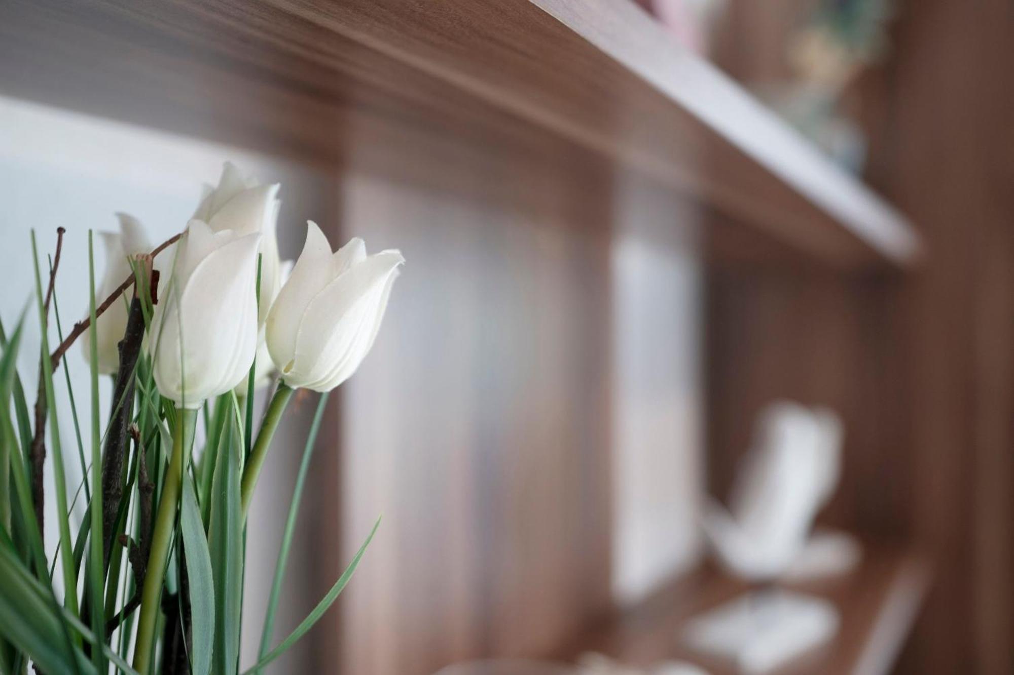 Haus Waldfrieden Ferienhaeuschen Waldfrieden Daire Haffkrug Dış mekan fotoğraf